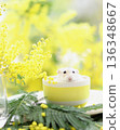 Mimosa and a hamster in a bowl 136348667