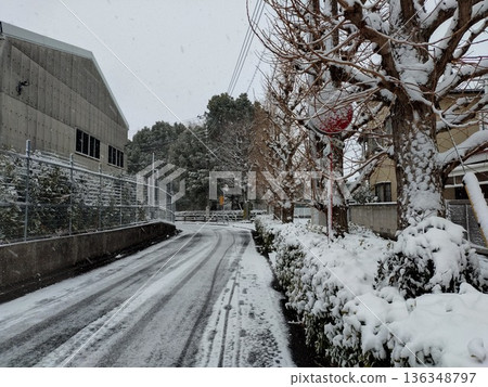三鷹市的雪景住宅區 136348797