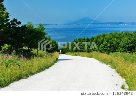 豆山白路 136348948