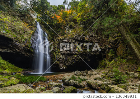 日本島根縣雲南市加溪合町的龍鬚瀑布和秋葉 136349931
