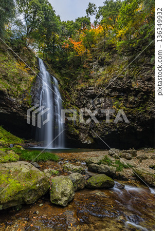 Ryuzugataki Falls and autumn foliage in Kakeai Town, Unnan City, Shimane Prefecture, Japan 136349932