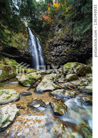日本島根縣雲南市加溪合町的龍鬚瀑布和秋葉 136349935