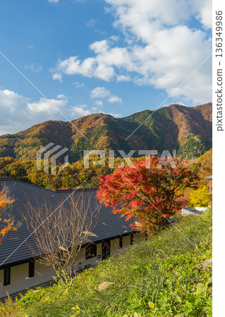 Autumn foliage seen from the observation deck of Okuizumo Orochi Loop Roadside Station in Nita District, Shimane Prefecture, Japan 136349986