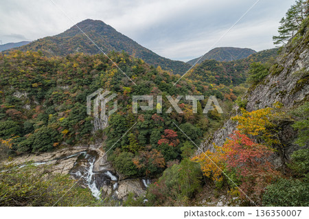 日本:島根縣鄂南町的團形溪峽谷和秋葉景色 日本:島根縣鄂南町的團形溪峽谷和秋葉景色 136350007