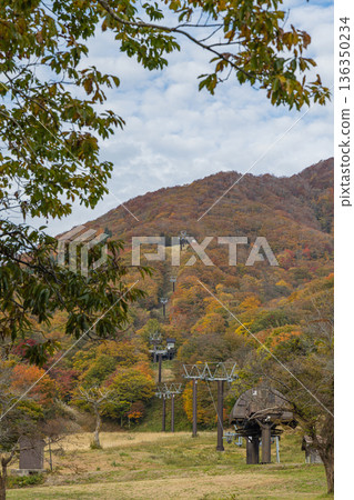 日本鳥取縣日野郡甲府町奧田泉滑雪場的秋葉 136350234