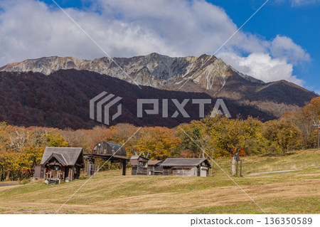 Autumn leaves at Okudaisen Ski Resort in Kofu Town, Hino District, Tottori Prefecture, Japan, with Mt. Daisen visible in the background Autumn leaves at Okudaisen Ski Resort in Kofu Town, Hino District, Tottori Prefecture, Japan, with Mt. Daisen visible in the background 136350589