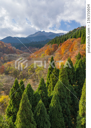 View of Mt. Daisen and the autumn foliage of the valley from Higashidaisan Bridge in Sekigane-cho, Kurayoshi City, Tottori Prefecture, Japan View of Mt. Daisen and the autumn foliage of the valley from Higashidaisan Bridge in Sekigane-cho, Kurayoshi City, Tottori Prefecture, Japan 136350604