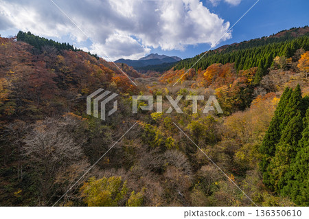 View of Mt. Daisen and the autumn foliage of the valley from Higashidaisan Bridge in Sekigane-cho, Kurayoshi City, Tottori Prefecture, Japan 136350610