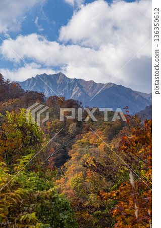 View of Mt. Daisen and autumn leaves from the Ikkogahira Observation Parking Lot in Sekigane-cho, Kurayoshi City, Tottori Prefecture, Japan View of Mt. Daisen and autumn leaves from the Ikkogahira Observation Parking Lot in Sekigane-cho, Kurayoshi City, Tottori Prefecture, Japan 136350612