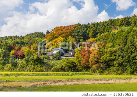 Townscape along the abandoned tracks of the former Japan National Railways Kurayoshi Line in Sekigane-cho, Kurayoshi City, Tottori Prefecture, Japan 136350621