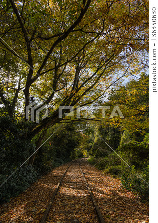 The abandoned tracks and autumn leaves at Taikyuji Station on the former Japanese National Railways Kurayoshi Line in Sekigane-cho, Kurayoshi City, Tottori Prefecture, Japan The abandoned tracks and autumn leaves at Taikyuji Station on the former Japanese National Railways Kurayoshi Line in Sekigane-cho, Kurayoshi City, Tottori Prefecture, Japan 136350630