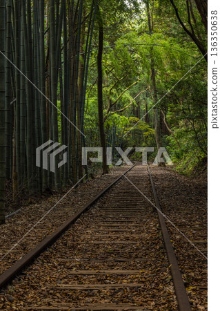 日本鳥取縣倉吉市關金町,廢棄的日本國鐵倉吉線鐵軌旁的竹林 日本鳥取縣倉吉市關金町,廢棄的日本國鐵倉吉線鐵軌旁的竹林 136350638