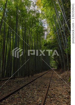 Bamboo forest along the abandoned tracks of the former Japan National Railways Kurayoshi Line in Sekigane-cho, Kurayoshi City, Tottori Prefecture, Japan Bamboo forest along the abandoned tracks of the former Japan National Railways Kurayoshi Line in Sekigane-cho, Kurayoshi City, Tottori Prefecture, Japan 136350641