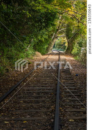 The abandoned tracks and autumn leaves at Taikyuji Station on the former Japanese National Railways Kurayoshi Line in Sekigane-cho, Kurayoshi City, Tottori Prefecture, Japan 136350643