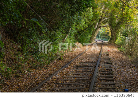 The abandoned tracks and autumn leaves at Taikyuji Station on the former Japanese National Railways Kurayoshi Line in Sekigane-cho, Kurayoshi City, Tottori Prefecture, Japan The abandoned tracks and autumn leaves at Taikyuji Station on the former Japanese National Railways Kurayoshi Line in Sekigane-cho, Kurayoshi City, Tottori Prefecture, Japan 136350645