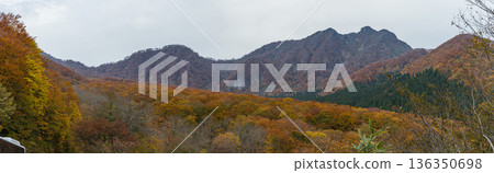 從日本鳥取縣日野郡甲府町加木掛峠附近的大山環路上看到的烏日山和秋葉景色 136350698