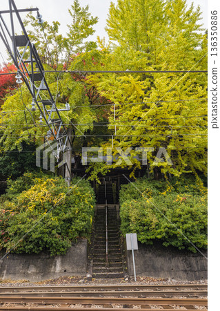 Ikuyama Shrine with its railroad tracks and autumn leaves in Nichinan Town, Hino District, Tottori Prefecture, Japan Ikuyama Shrine with its railroad tracks and autumn leaves in Nichinan Town, Hino District, Tottori Prefecture, Japan 136350886