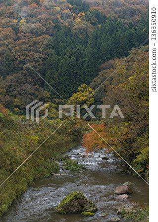 日本鳥取縣日野郡日南町關峽的秋葉 136350910