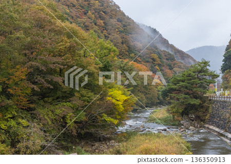 日本鳥取縣日野郡日南町關峽的秋葉 日本鳥取縣日野郡日南町關峽的秋葉 136350913