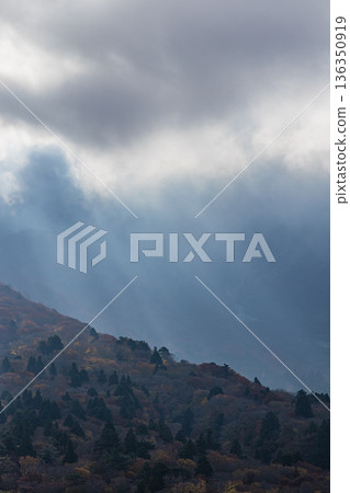 日本鳥取縣西白郡大山町禦苑野志台，秋葉與陽光灑落在大山上。 136350919