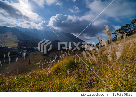 The autumn leaves of Mt. Daisen illuminated by the sun as seen from Mount Goen Noroshidai in Daisen Town, Saihaku District, Tottori Prefecture, Japan The autumn leaves of Mt. Daisen illuminated by the sun as seen from Mount Goen Noroshidai in Daisen Town, Saihaku District, Tottori Prefecture, Japan 136350935
