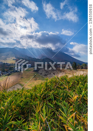 日本鳥取縣西白郡大山町禦苑野志台，夕陽映照下大山秋葉的美景 136350938