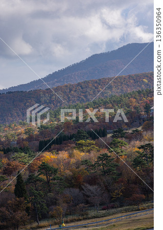 Autumn leaves of Mt. Daisen seen from Goenzan Noroshidai in Daisen Town, Saihaku District, Tottori Prefecture, Japan Autumn leaves of Mt. Daisen seen from Goenzan Noroshidai in Daisen Town, Saihaku District, Tottori Prefecture, Japan 136350964