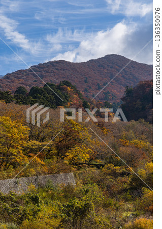 從日本鳥取縣西白郡大山町的大山寺橋上眺望大山的秋葉 從日本鳥取縣西白郡大山町的大山寺橋上眺望大山的秋葉 136350976