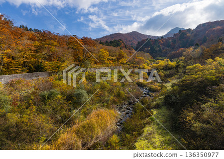 從日本鳥取縣西白郡大山町的大山寺橋上眺望大山的秋葉 從日本鳥取縣西白郡大山町的大山寺橋上眺望大山的秋葉 136350977