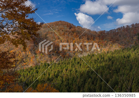 Autumn leaves of Mt. Daisen seen from Kagikake Pass in Kofu Town, Hino District, Tottori Prefecture, Japan Autumn leaves of Mt. Daisen seen from Kagikake Pass in Kofu Town, Hino District, Tottori Prefecture, Japan 136350985