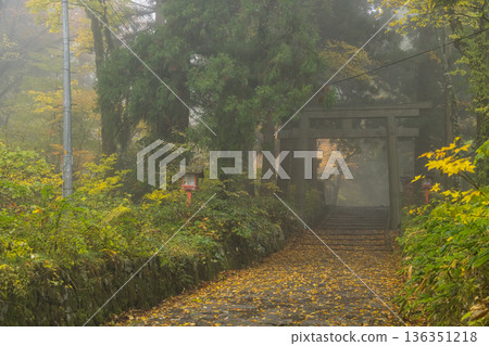 日本鳥取縣西白郡大仙町大神山神社，奧宮第二鳥居及秋葉 136351218