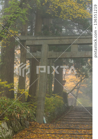 日本鳥取縣西白郡大仙町大神山神社，奧宮第二鳥居及秋葉 136351219
