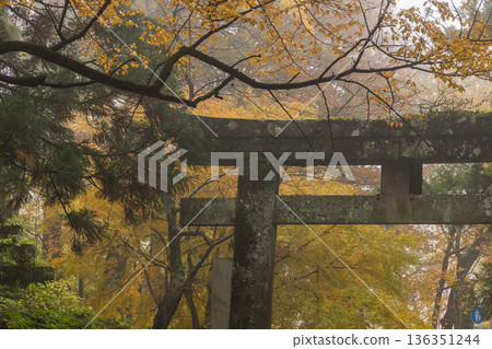 Ogamiyama Shrine in Daisen Town, Saihaku District, Tottori Prefecture, Japan, Okumiya Ichinotorii Gate and autumn leaves Ogamiyama Shrine in Daisen Town, Saihaku District, Tottori Prefecture, Japan, Okumiya Ichinotorii Gate and autumn leaves 136351244