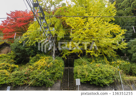 Ikuyama Shrine with its railroad tracks and autumn leaves in Nichinan Town, Hino District, Tottori Prefecture, Japan 136351255