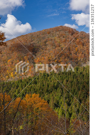 日本鳥取縣日野郡甲府町賀木掛峠眺望大山秋葉 日本鳥取縣日野郡甲府町賀木掛峠眺望大山秋葉 136351257