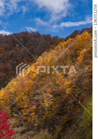Autumn leaves of Mt. Daisen seen from Kagikake Pass in Kofu Town, Hino District, Tottori Prefecture, Japan Autumn leaves of Mt. Daisen seen from Kagikake Pass in Kofu Town, Hino District, Tottori Prefecture, Japan 136351259