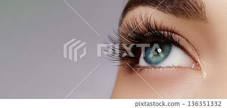 Beautiful macro of female eye with extreme long eyelashes and black liner makeup. Perfect shape make-up and long lashes. Cosmetics, Beauty and make-up. Closeup macro photo of fashion eyes visage Beautiful macro of female eye with extreme long eyelashes and black liner makeup. Perfect shape make-up and long lashes. Cosmetics, Beauty and make-up. Closeup macro photo of fashion eyes visage 136351332
