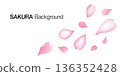 春日裡飄落的櫻花花瓣，簡約的日式櫻花，向量圖 136352428