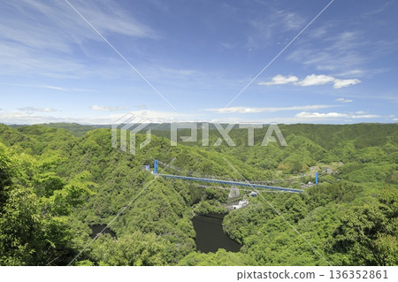 Ryujin Suspension Bridge, surrounded by fresh greenery and decorated with countless carp streamers, as seen from Akaiwa Observatory Ryujin Suspension Bridge, surrounded by fresh greenery and decorated with countless carp streamers, as seen from Akaiwa Observatory 136352861