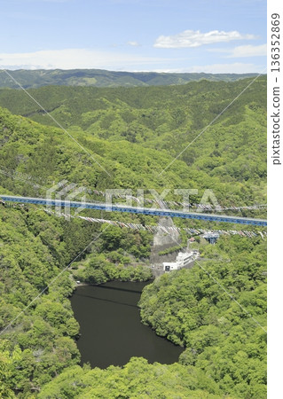 從赤岩展望台望去，可以看到龍神吊橋，周圍綠樹環繞，掛滿了無數鯉魚彩帶。 136352869