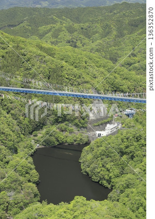 從赤岩展望台望去，可以看到龍神吊橋，周圍綠樹環繞，掛滿了無數鯉魚彩帶。 136352870