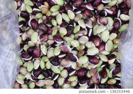 Edamame seeds stock on shop for sell are cash crops 136353446
