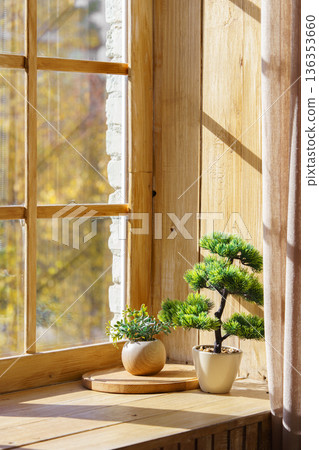 Small bonsai pine tree and succulent in pot on wooden window sill with autumn background 136353660