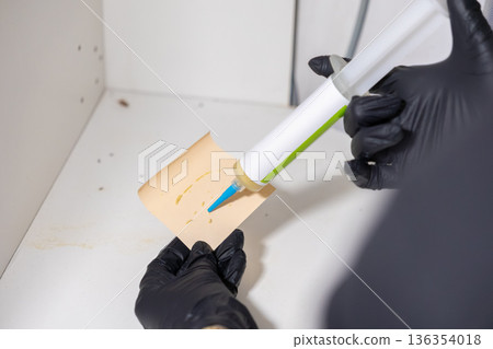 Professional in black glove carefully applies insect pest control gel bait to a paper trap for effective home hygiene extermination services 136354018