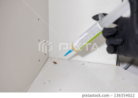 Person's gloved hand applies insecticide gel bait to a dirty cabinet corner, targeting a visible cockroach, for effective pest control and home hygiene solution Person's gloved hand applies insecticide gel bait to a dirty cabinet corner, targeting a visible cockroach, for effective pest control and home hygiene solution 136354022
