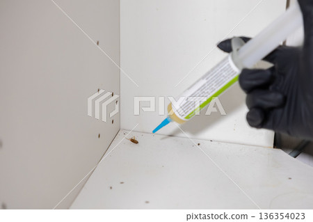 Professional applying pest control gel bait to a dirty cabinet corner with a visible cockroach, illustrating home infestation treatment and hygiene maintenance Professional applying pest control gel bait to a dirty cabinet corner with a visible cockroach, illustrating home infestation treatment and hygiene maintenance 136354023
