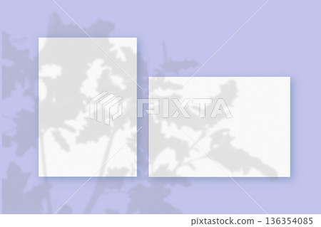 Natural lighting casts shadows from wildflowers on horizontal and vertical sheets of white textured paper against a purple wall background. Mockup Natural lighting casts shadows from wildflowers on horizontal and vertical sheets of white textured paper against a purple wall background. Mockup 136354085
