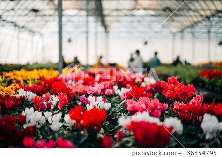 The flower greenhouse is blooming in spring. The flower greenhouse is blooming in spring. 136354795