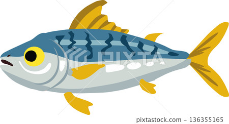 a marine fish shown in side view. Ideal for ocean life education, seafood concepts, kids learning materials, and modern graphic design projects 136355165