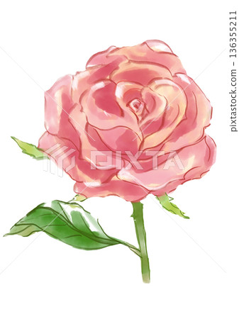 手繪水彩插圖,描繪了一朵盛開的粉紅色玫瑰花 手繪水彩插圖,描繪了一朵盛開的粉紅色玫瑰花 136355211